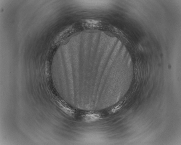 X0000067370760200604211542