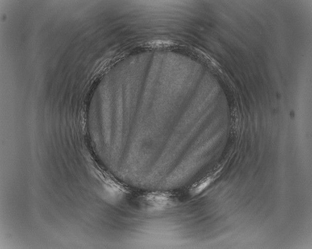 X0000067370762200604211542