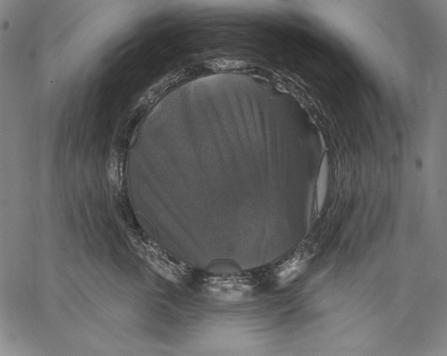 X0000067370763200604211542