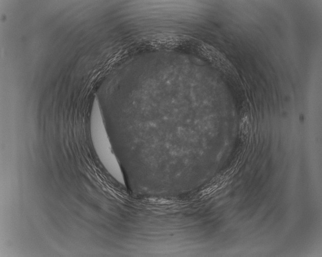 X0000067370772200604211541
