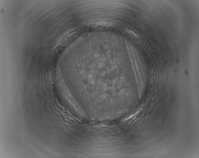 X0000067370774200604211541
