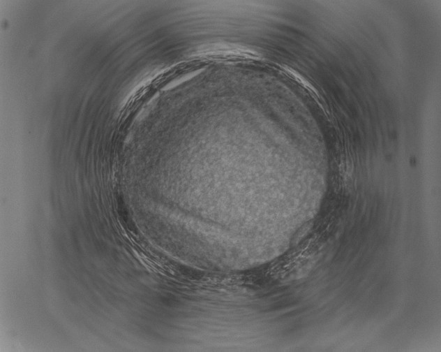 X0000067370775200604211541
