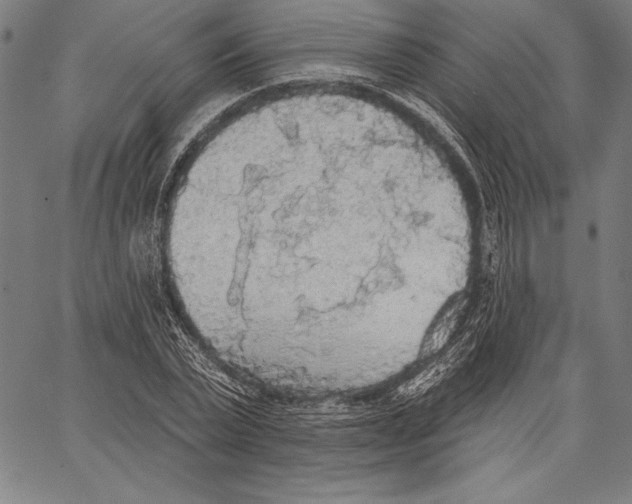 X0000067370783200604211541