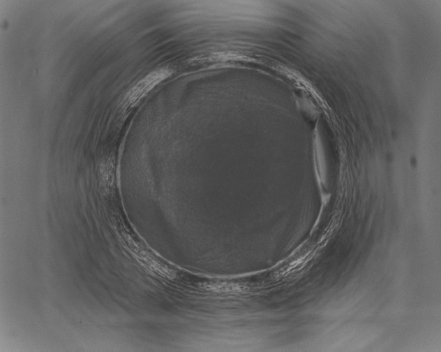 X0000067370785200604211541