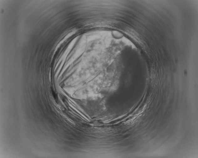 X0000067370790200604211541