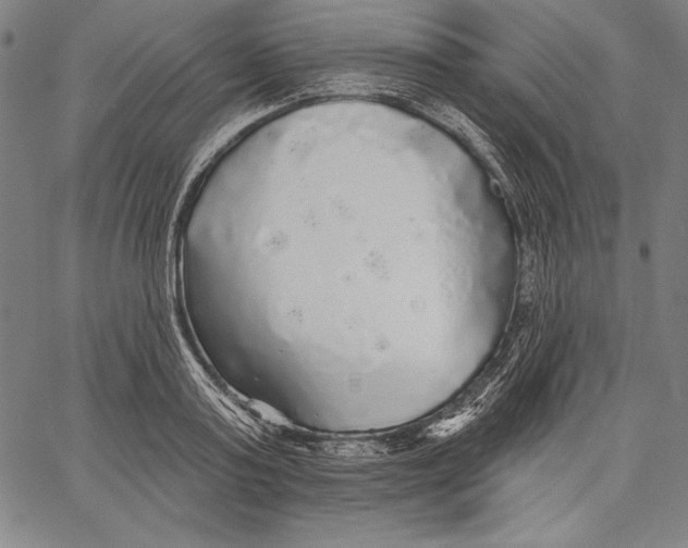 X0000067370795200604211541