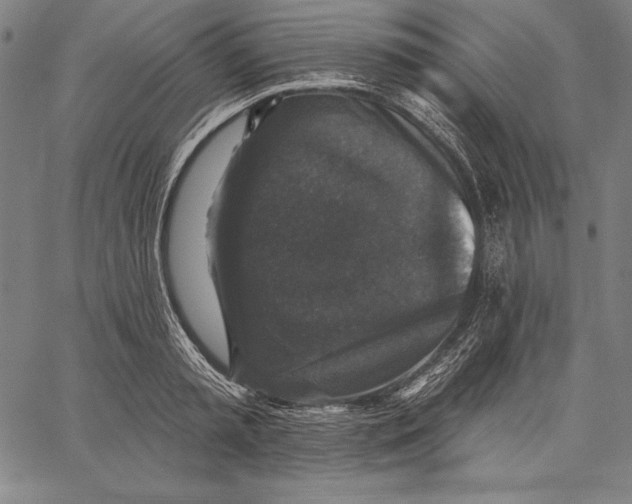 X0000067370797200604211541