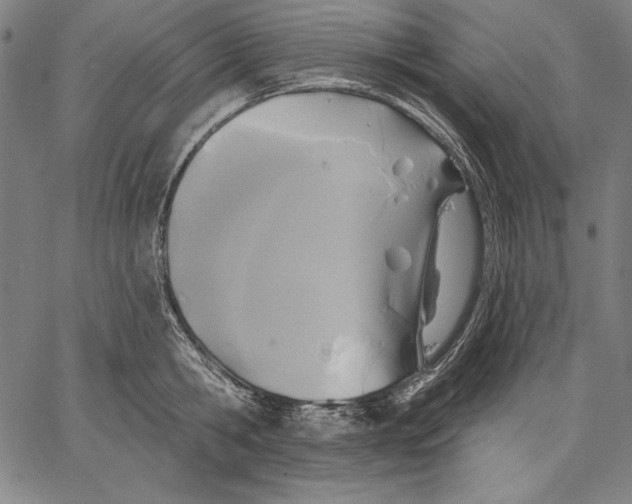 X0000067370806200604211541