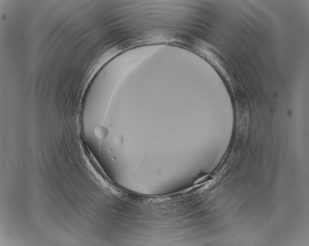 X0000067370810200604211541