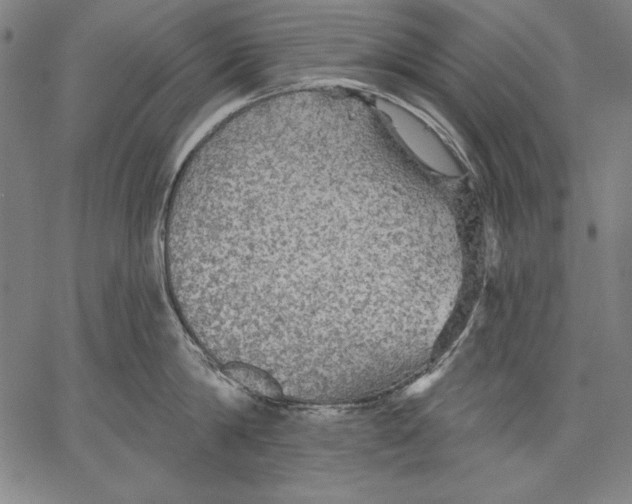 X0000067370814200604211540