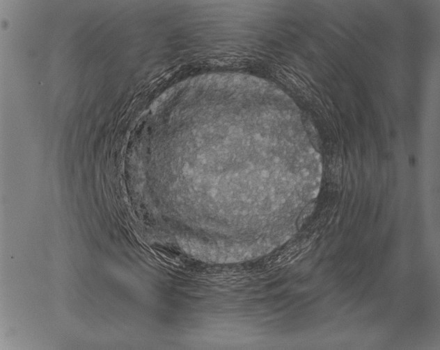 X0000067370817200604211540