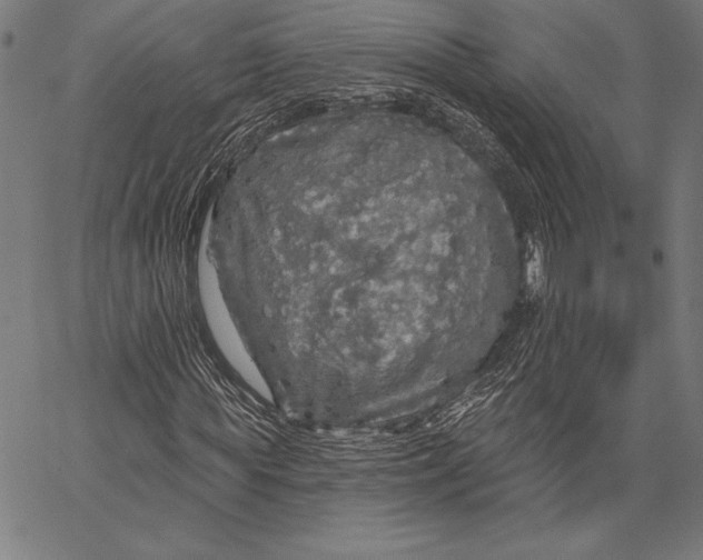 X0000067370819200604211540