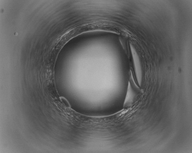 X0000067370822200604211540