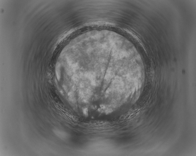 X0000067370823200604211540