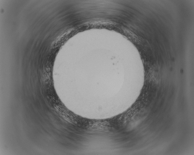 X0000067370824200604211540