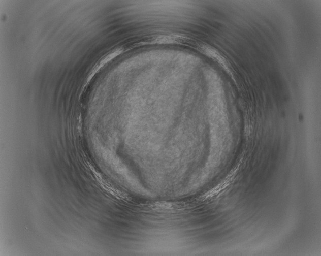 X0000067370827200604211540