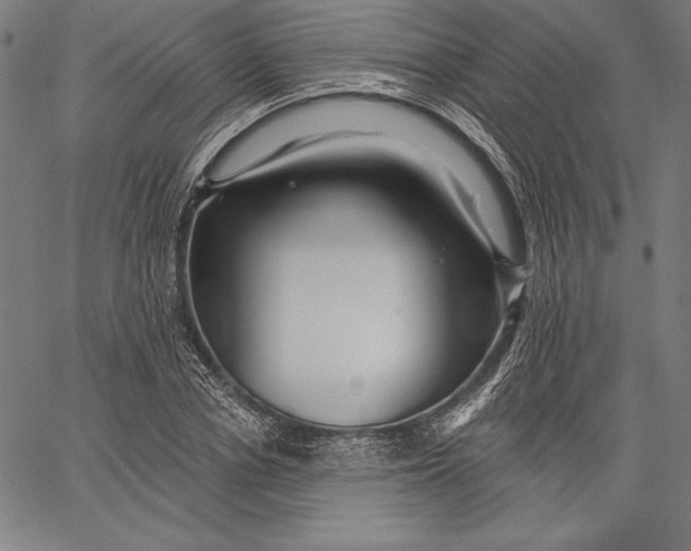 X0000067370834200604211540
