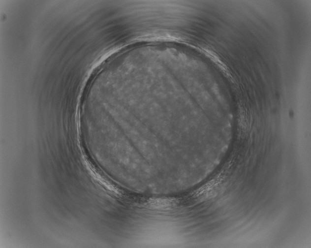 X0000067370840200604211540