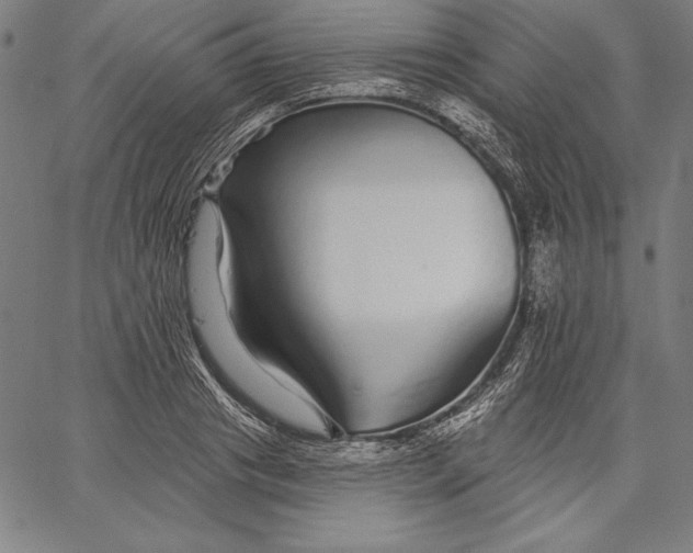 X0000067370841200604211540