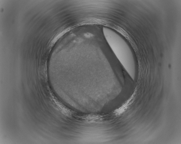 X0000067370842200604211540