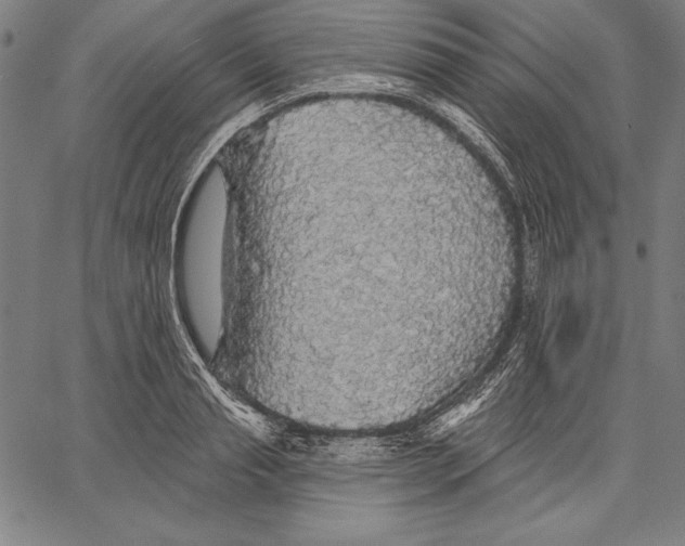 X0000067370845200604211540