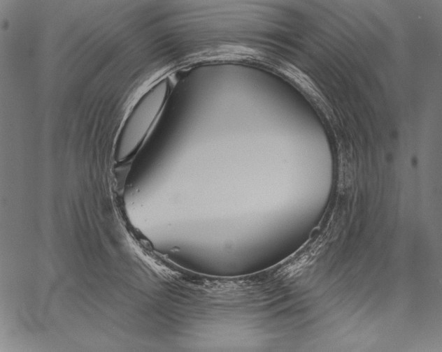 X0000067370850200604211540