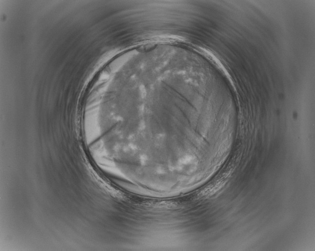 X0000067370851200604211540