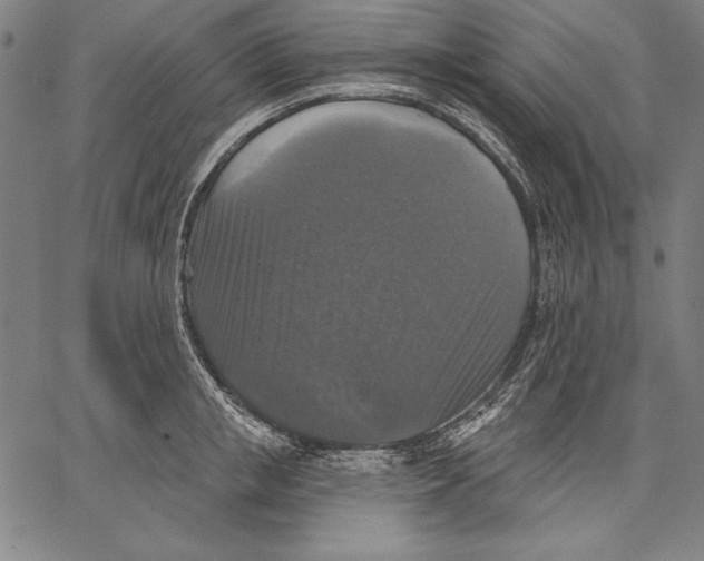 X0000067370853200604211540