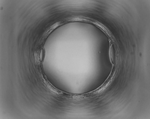 X0000067370857200604211540
