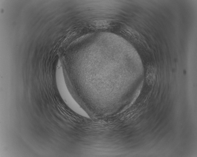 X0000067370866200604211539