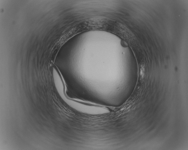X0000067370867200604211539