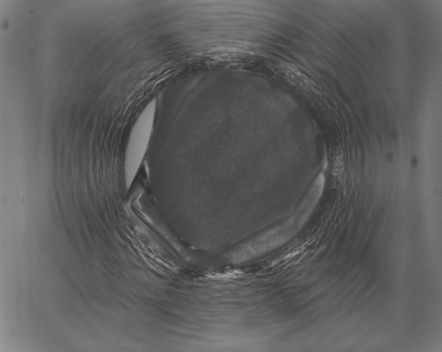 X0000067370868200604211539