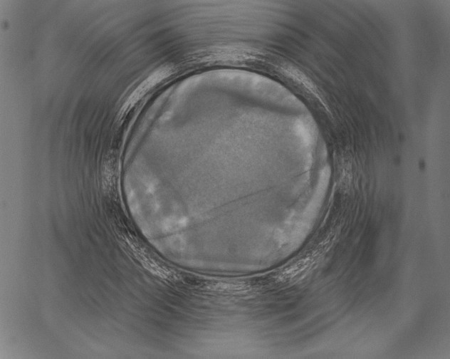 X0000067370874200604211539