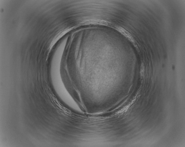 X0000067370877200604211539