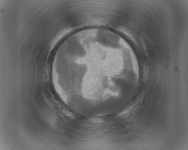 X0000067370878200604211539