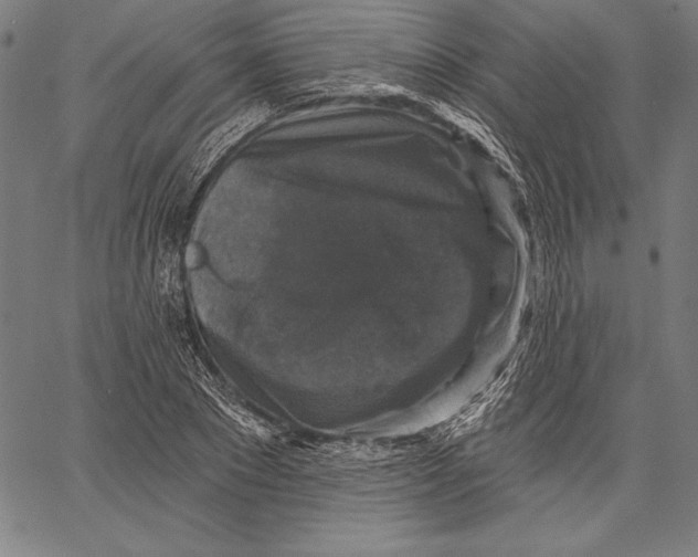 X0000067370881200604211539