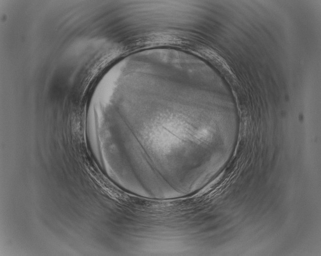 X0000067370882200604211539