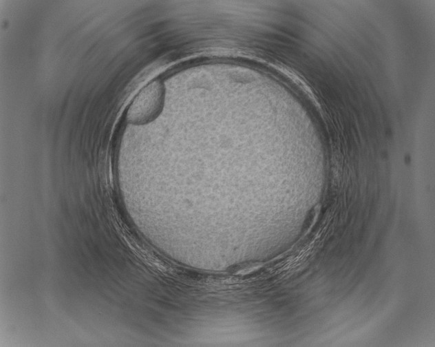 X0000067370887200604211539