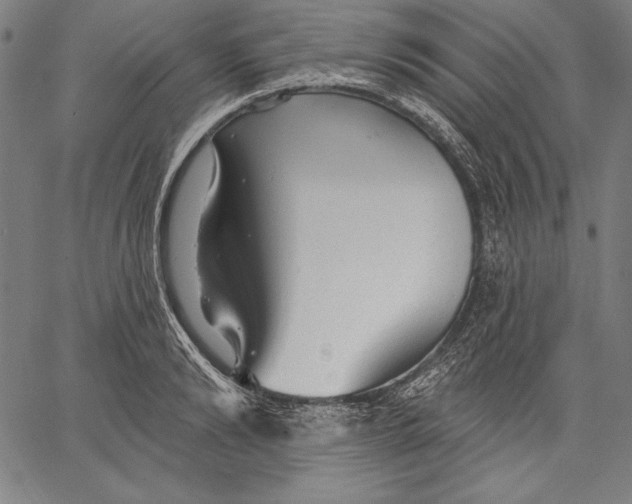 X0000067370894200604211539