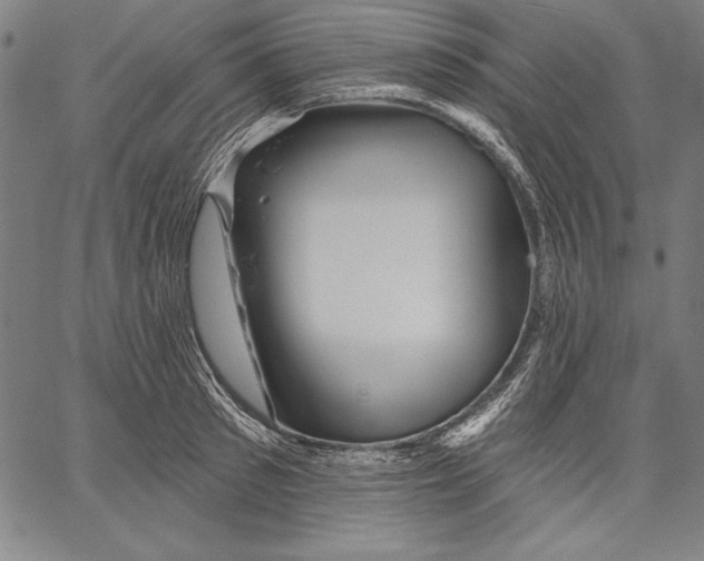 X0000067370897200604211539