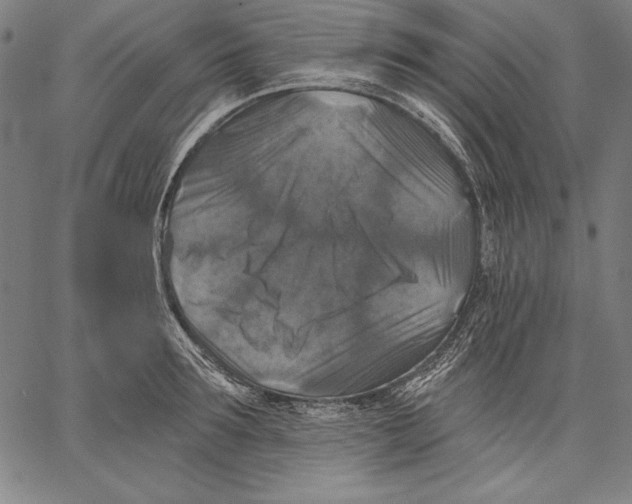 X0000067370899200604211539