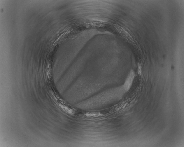 X0000067370915200604211538