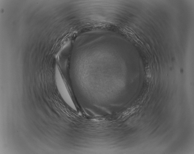 X0000067370916200604211538