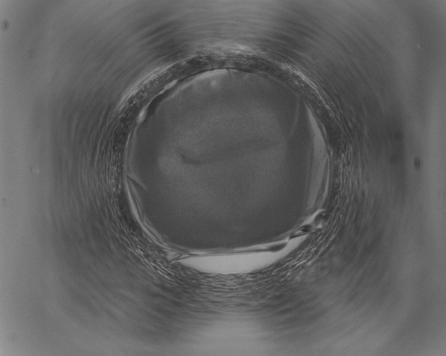 X0000067370919200604211538