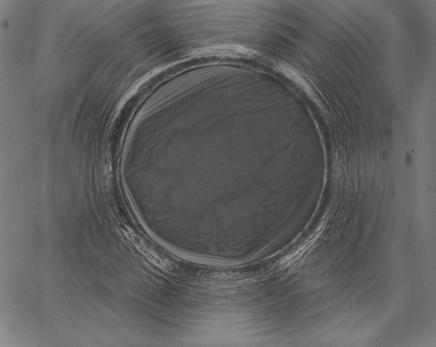 X0000067370923200604211538