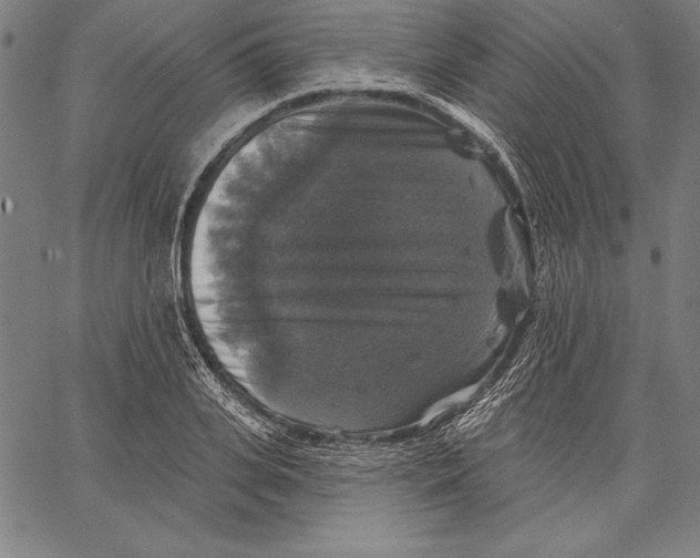 X0000067370935200604211538