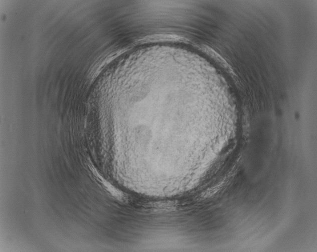 X0000067370937200604211538
