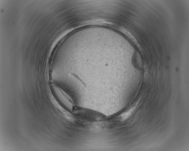 X0000067370939200604211538