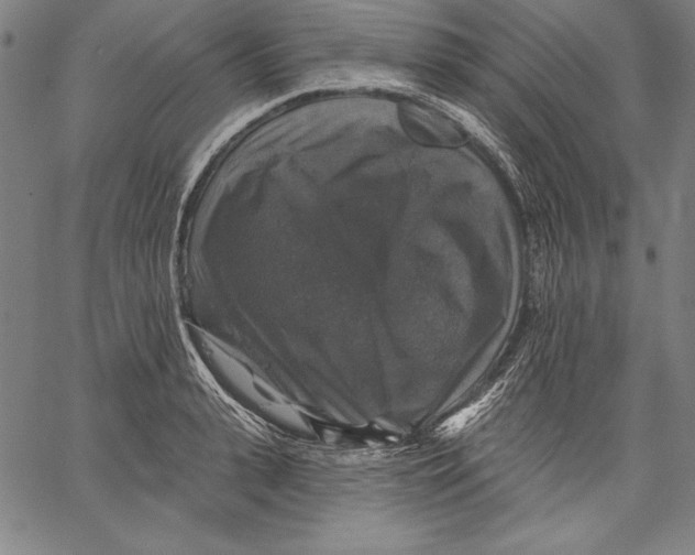 X0000067370943200604211538