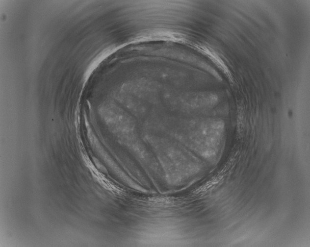 X0000067370944200604211538